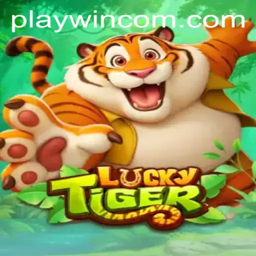 PlayWin Casino App