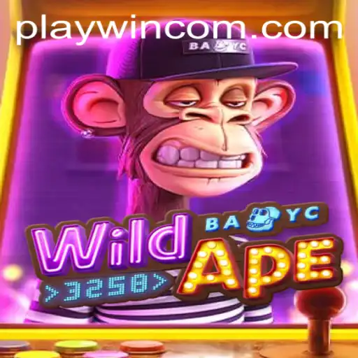 PlayWin Casino App